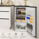 Frigorifero Piccolo da 91L Cella Freezer Superiore Argento    