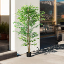 Pianta Artificiale di Ficus con Vaso per Interni ed Esterni 180 cm Verde 