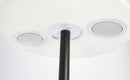 Piantana Lampada da Terra Ø34x150h cm a Led Nera