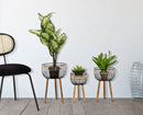 Set 3 Porta Vasi Oporto Ø 35x54,5-30x48-25x41,5 cm in Rattan