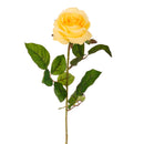 Set 8 Rose Artificiali Singola H 67 cm