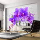 Fotomurale - Eccitazione Viola 300X210 cm Carta da Parato Erroi