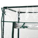 Serra da Giardino 100x50x150 cm in PVC Trasparente