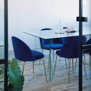 Set 4 Sedie Imbottite 38x43x74 cm in Vellluto Velvet Grigio e Oro