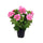 Geranio Artificiale con Vaso Altezza 47 cm Rosa