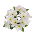 Set 6 Giro Candela con Narcisi Artificiali 